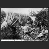 Photo id. 59 (JMC s/n)