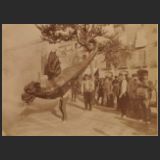 id. 842 (JMC 2238)