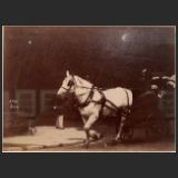 id. 979 (JMC 300)